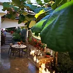 Rita Kiwi Novigrad (Istria)
