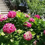Rita Kiwi * Novigrad Istria