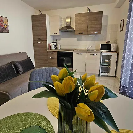 Rita Kiwi * Novigrad Istria