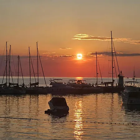 Rita Kiwi * Novigrad (Istria)