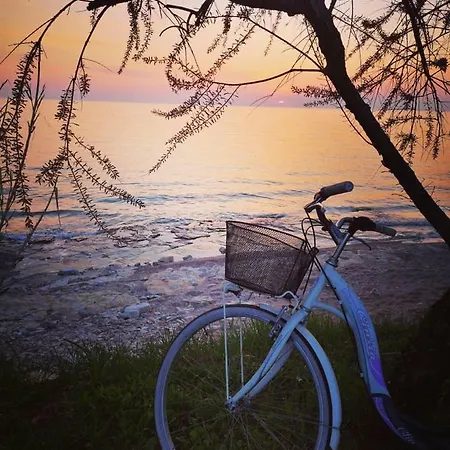 Appartement Rita Kiwi