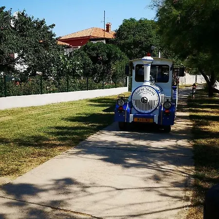 Rita Kiwi Novigrad Istria