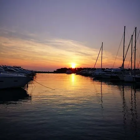 Rita Kiwi * Novigrad Istria