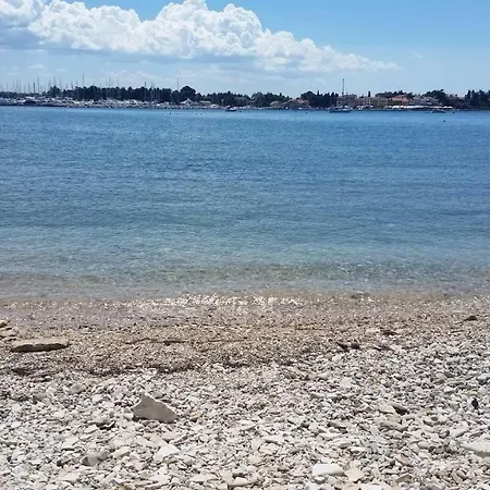 Rita Kiwi アパート