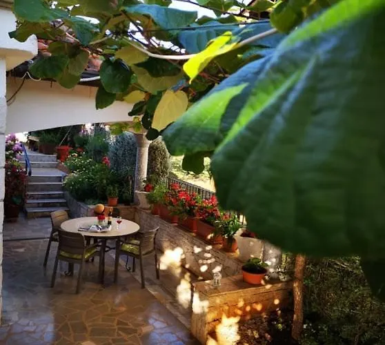 Rita Kiwi Novigrad Istria