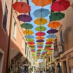 Rita Kiwi Novigrad Istria
