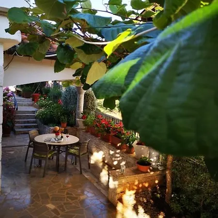 Rita Kiwi Novigrad Istria