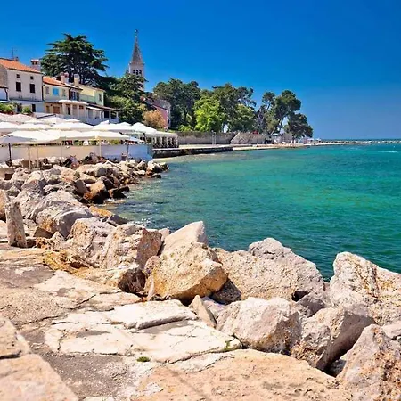 Rita Kiwi * Novigrad (Istria)
