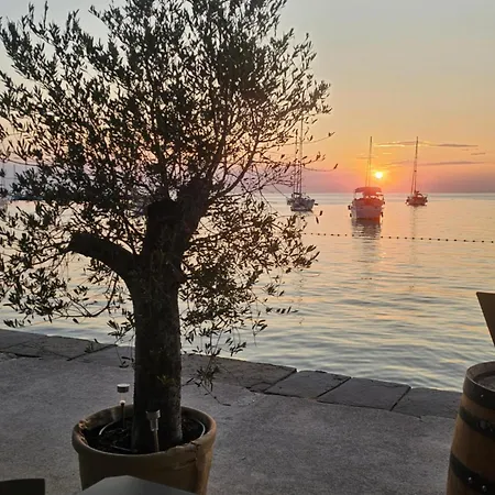 Apartman Rita Kiwi *