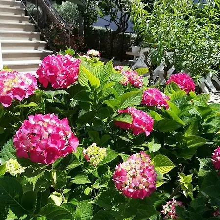 Rita Kiwi * Novigrad (Istria)