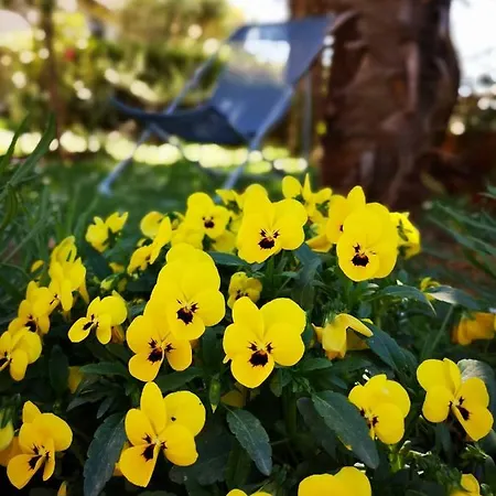 Rita Kiwi Novigrad (Istria)