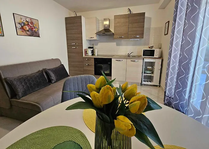 Rita Kiwi * Novigrad (Istria)