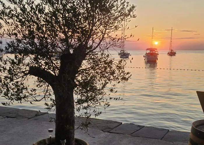 Apartman Rita Kiwi *