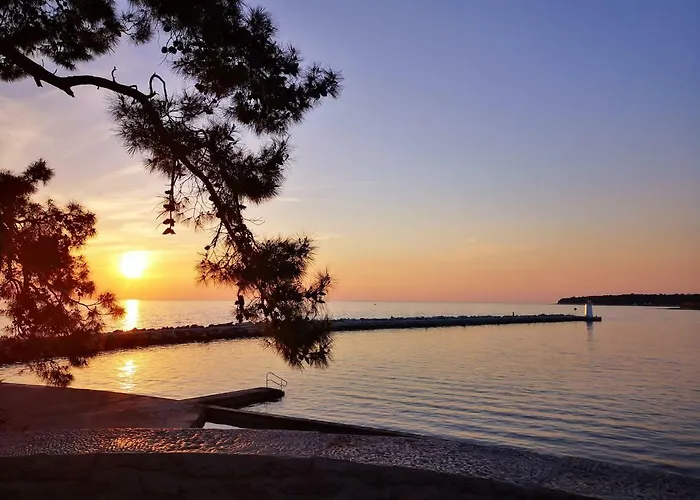 Rita Kiwi Apartman *